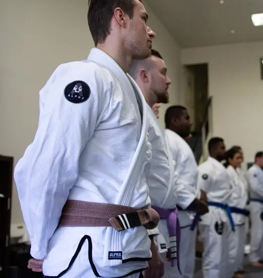 Brazilian Jiu Jitsu students at Alpha Jiu Jitsu Academy standing in formation, wearing their belts and gi, demonstrating discipline and focus during training.