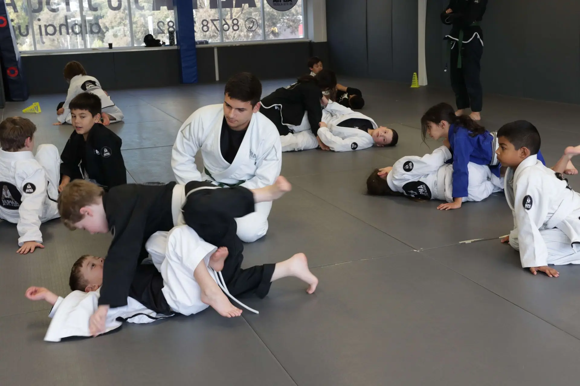 A group of kids is practicing Brazilian Jiu-Jitsu at Alpha Jiu-Jitsu Academy. In the foreground, two boys are engaged in a sparring session, with one on top and the other on the bottom, while a young instructor in a white gi assists them. Other students are rolling or practicing moves on the mat. A girl in a blue gi is positioned on top of a boy in a white gi, demonstrating a position. The atmosphere is active and focused, with children learning techniques in pairs while others observe or rest.