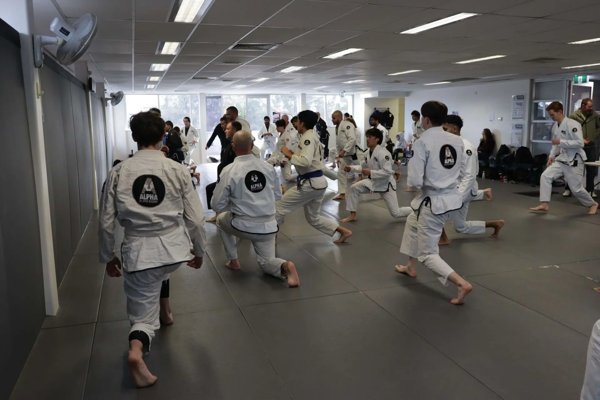 A group of students at Alpha Jiu Jitsu Academy performing warm-up drills in their white gi uniforms. The students are kneeling and practicing movements in unison, creating a dynamic training environment. The room is well-lit with large windows in the background, emphasizing a focus on discipline and skill-building within the academy setting.