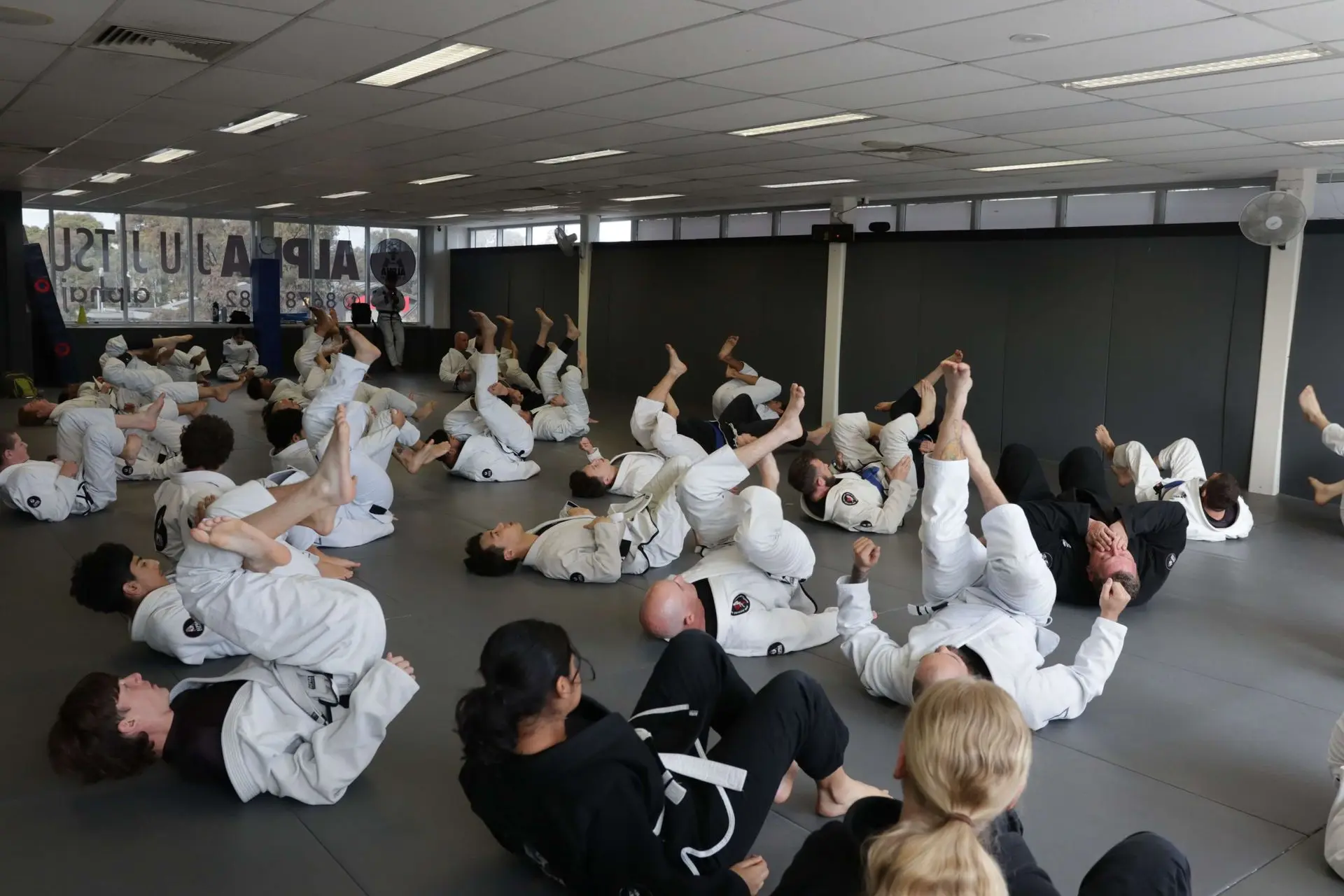 A group of Brazilian Jiu-Jitsu students at Alpha Jiu-Jitsu Academy are seen practicing on the mat in various positions. Several students are working on leg control and grappling techniques, with their feet up in the air as part of their drills. The students are wearing gi uniforms, including black and white gis, with some in various belt colors. The training environment is spacious and well-lit, showcasing an active and focused atmosphere. The academy’s branding is visible on their gi patches.