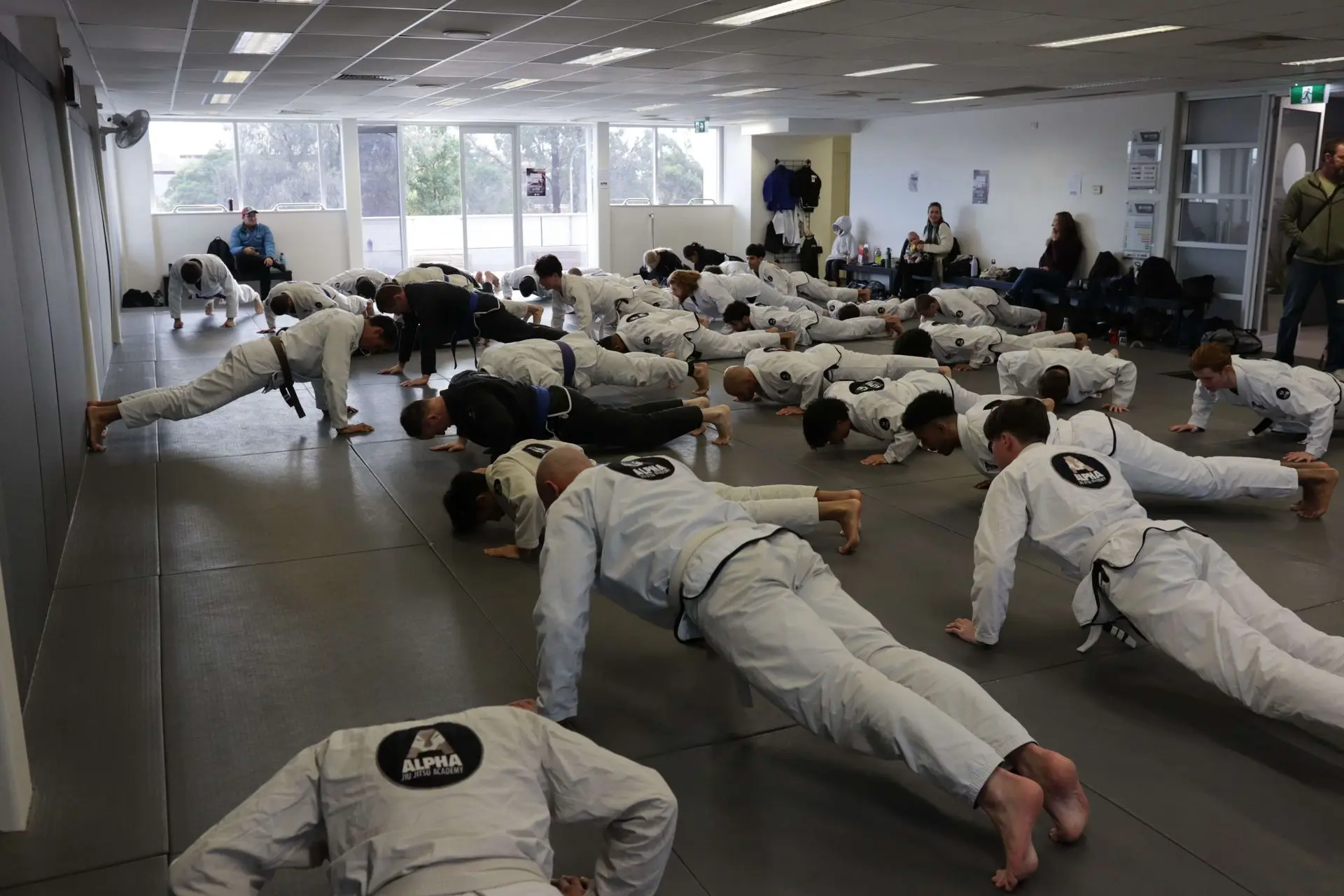 A group of dedicated students at Alpha Jiu Jitsu Academy are participating in a push-up training session. The room is filled with members in gi uniforms, each focused on their form while performing push-ups. Some students are in various belt ranks, with belts visible such as brown, black, and blue. In the background, a few observers sit on the side, watching the session as part of the academy's active training environment. The photo highlights teamwork, discipline, and dedication in the academy's fitness drills.